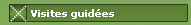 Visites guidées